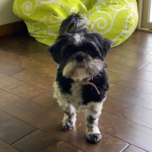 Meet your Posher, Jessica - Picture 1 of 1